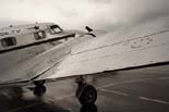 Lockheed Electra