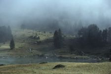 aubert le petit matin