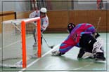 roller hockey 2009