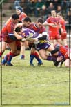 rugby XIII